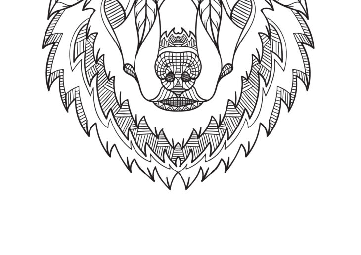 Coloriage Animaux 9 Ans Coloriage Anti Stress Mandala Gratuit Top Construction Coloriage Anti