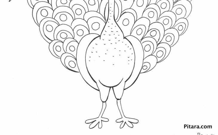 Peacock Coloring Page Free & Easy To Print Peacock Coloring Pages