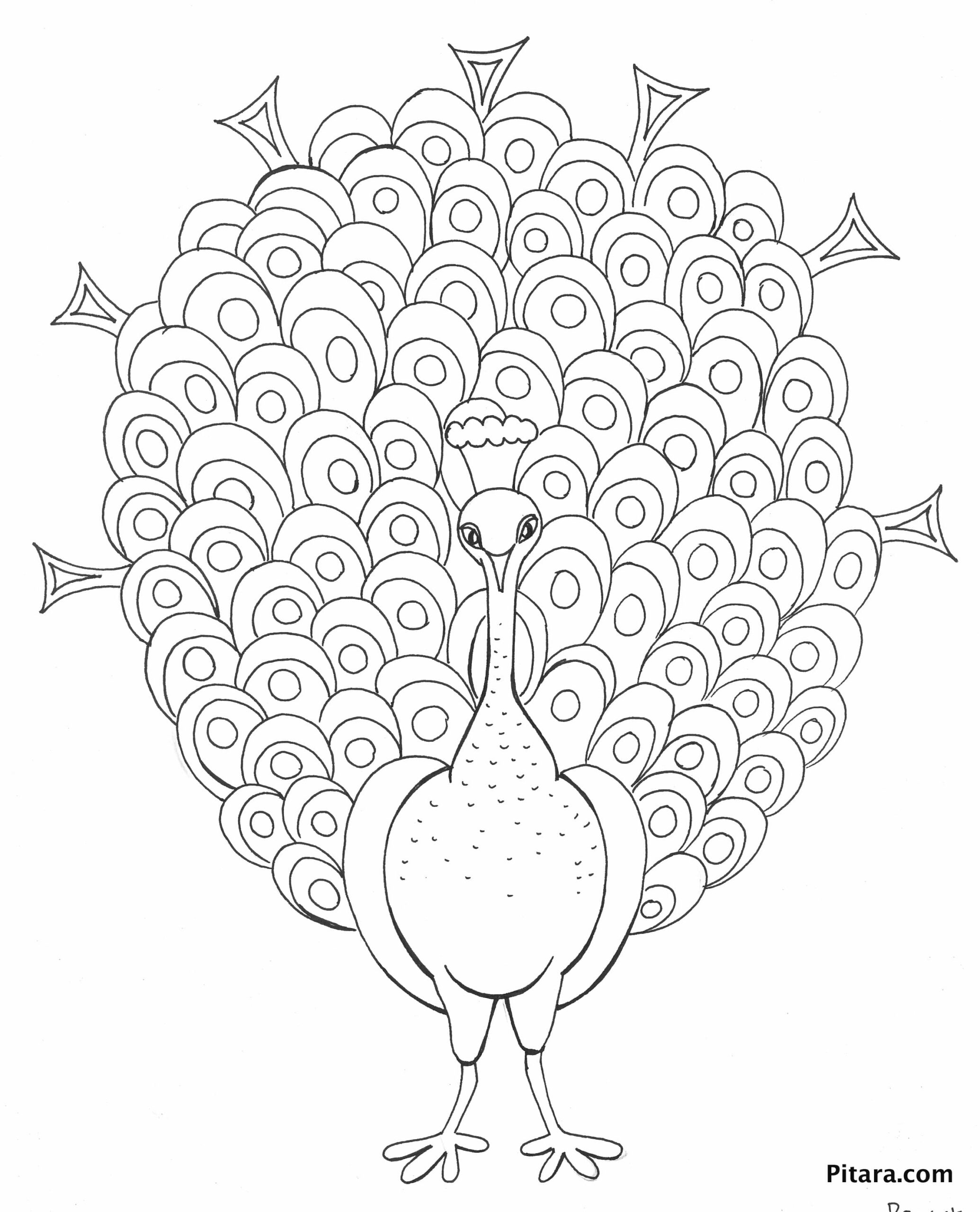 peacock coloring page