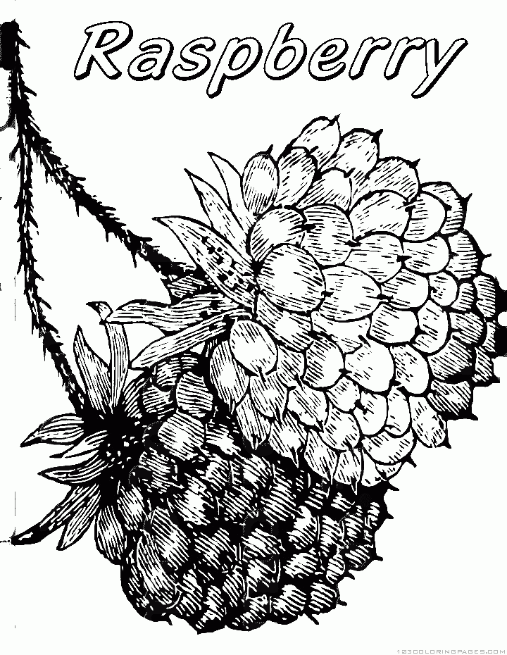 raspberry coloring pages