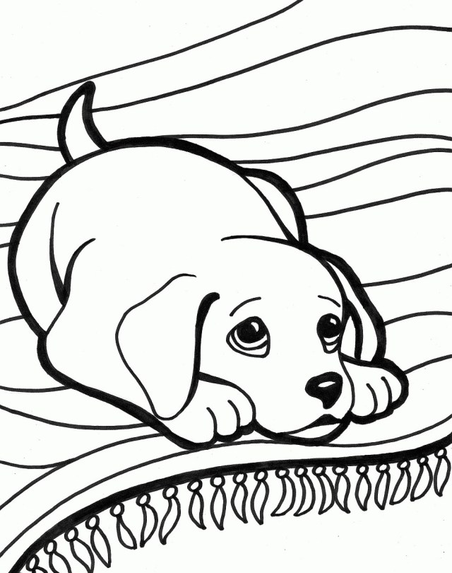 dog with santa hat coloring page