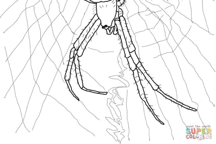 Scary Spider Coloring Pages Spider Coloring Pages Scary Printable Colouring Spiders Popular Library Clipart Books