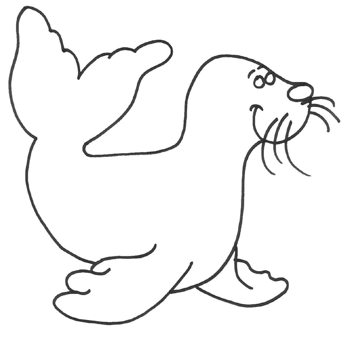 seal coloring pages