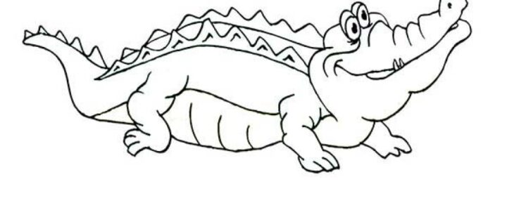 Alligator Coloring Pages Free Printable Alligator Coloring Pages For Kids