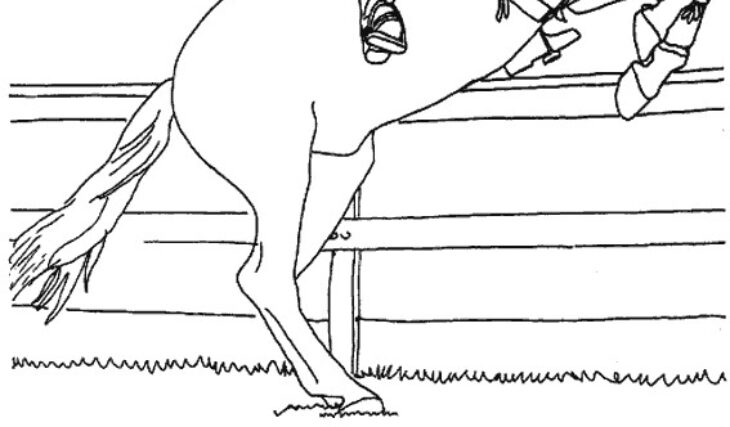 12 Dessin A Imprimer Cheval Qui Saute Background Coloriage Cheval Pour Adulte Fait Le Saut