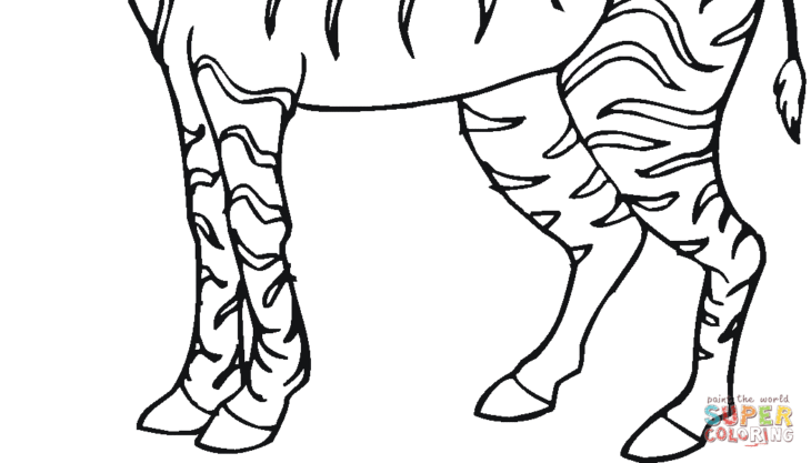 Zebra Coloring Page Free Printable Zebra Coloring Pages For Kids