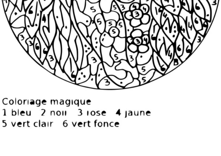 Coloriage Magique 6eme A Imprimer Coloriage Magique 6eme Maths