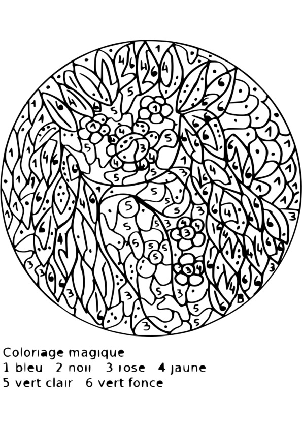 coloriage magique 6eme a imprimer