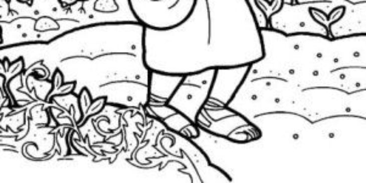 Parable Of The Sower Coloring Page Parable Of The Sower