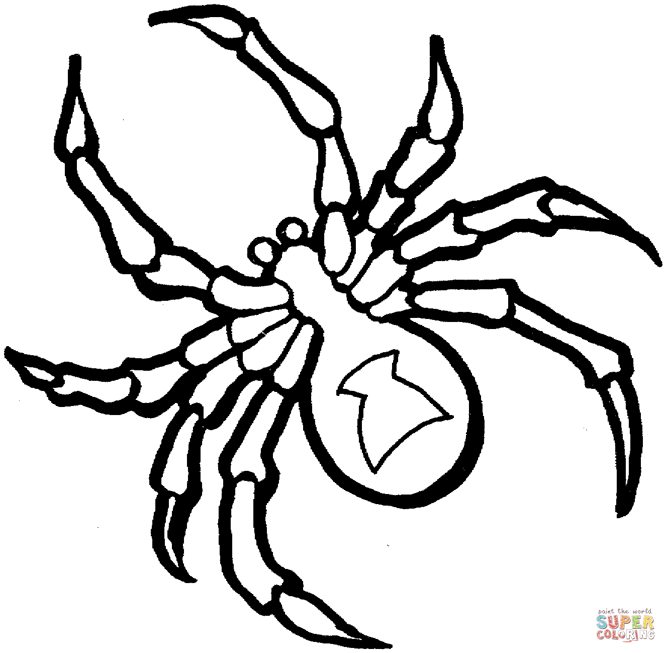 spider coloring pages