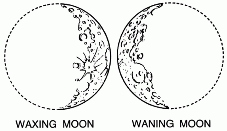 moon phases coloring page