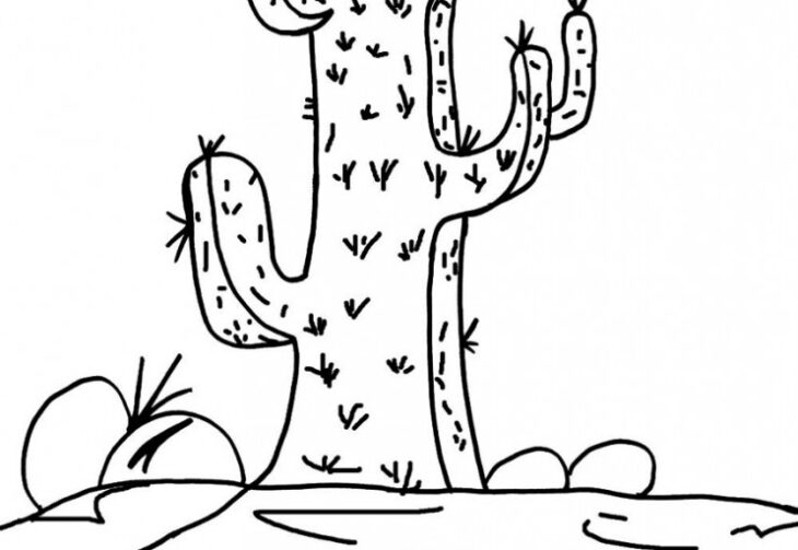 Free Cactus Coloring Pages Free Printable Cactus Coloring Pages For Kids