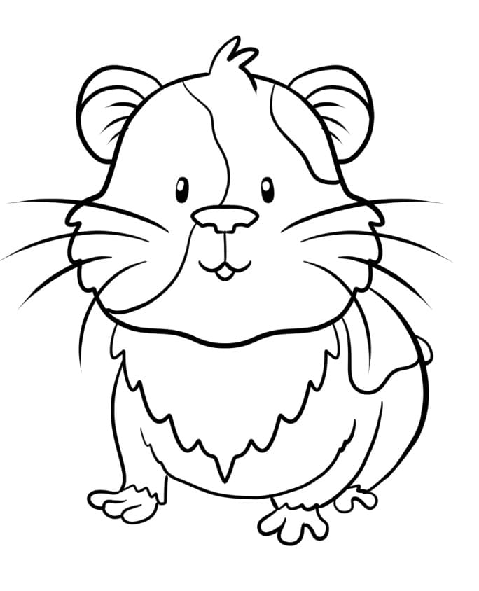 guinea pig coloring pages