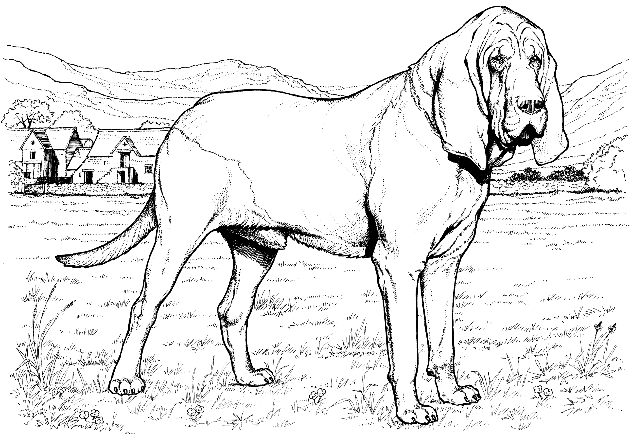 realistic cute dog coloring pages