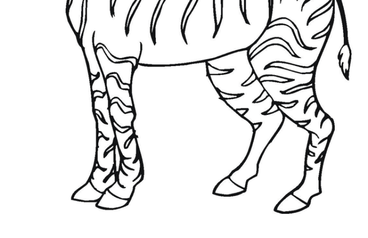 Zebra Coloring Pages Zebra Coloring Pages Colouring Printable Kids Choose Board Animal