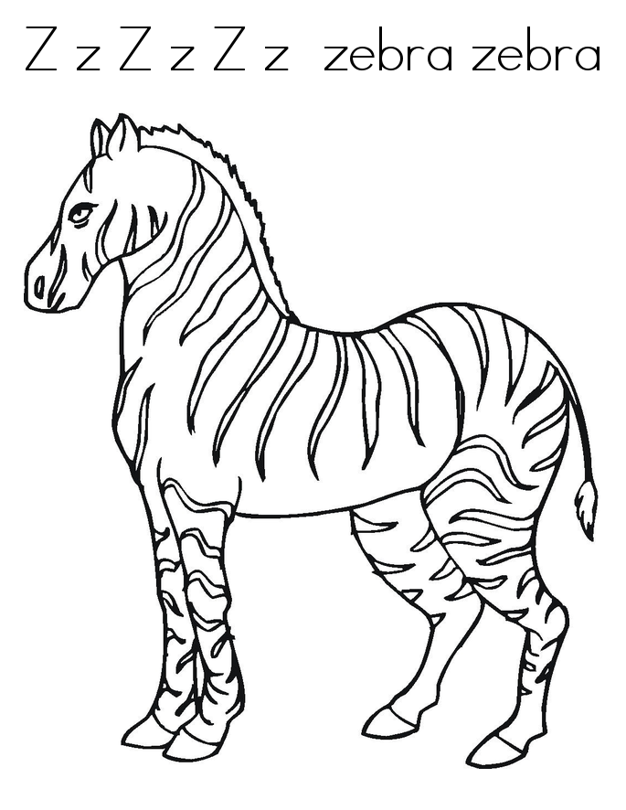 zebra coloring pages