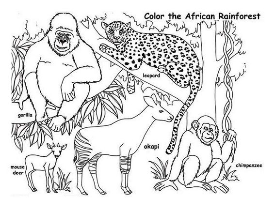 african savanna coloring pages