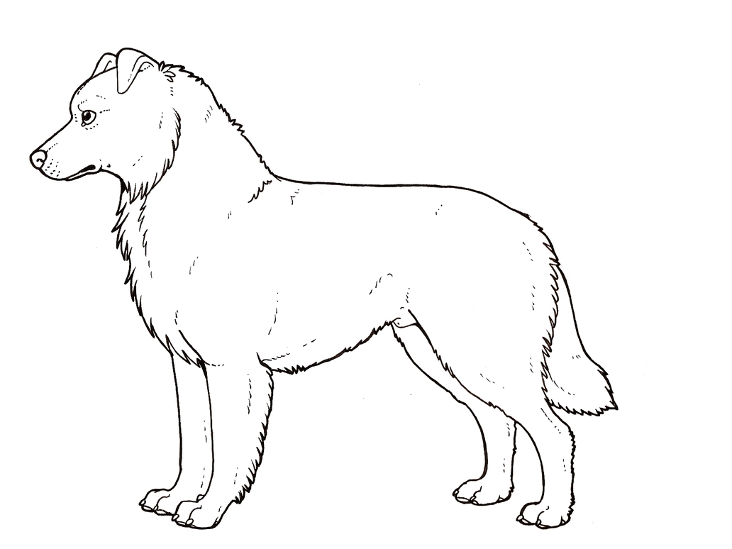 printable australian shepherd coloring page