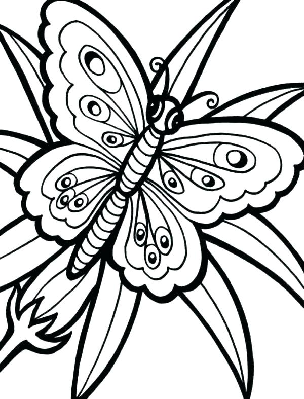 flower butterfly coloring pages