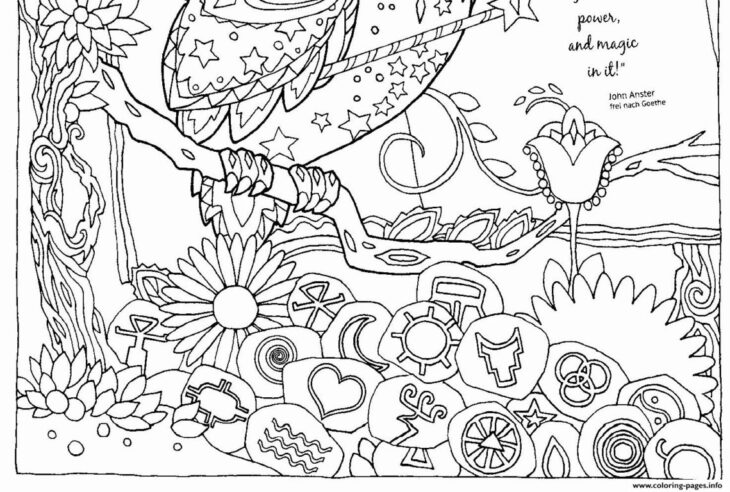 Coloriage Halloween Ce2 125 Dessins De Coloriage Magique Ce2 à Imprimer