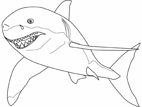 dessin a colorier facile requin