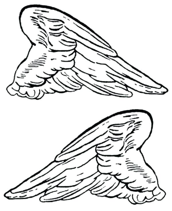 download dessin a imprimer wings pictures