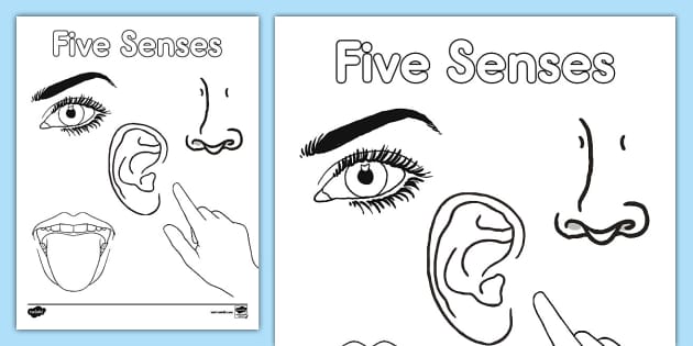 five senses coloring pages pdf