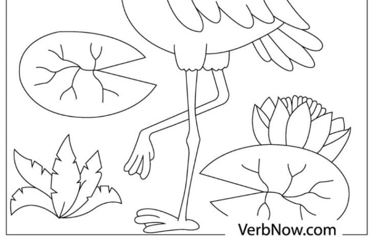 Flamingo Coloring Pages Free Flamingo Flamingos Verbnow