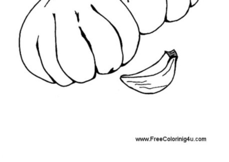 Garlic Coloring Page Garlic Coloring Drawing Dibujos Ajo Colorear Pintar Coloringcrew Book Food