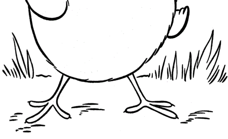 Chicken Coloring Page Chicken Colour Coloring Pages Cliparts Printable Attribution Forget Link Don