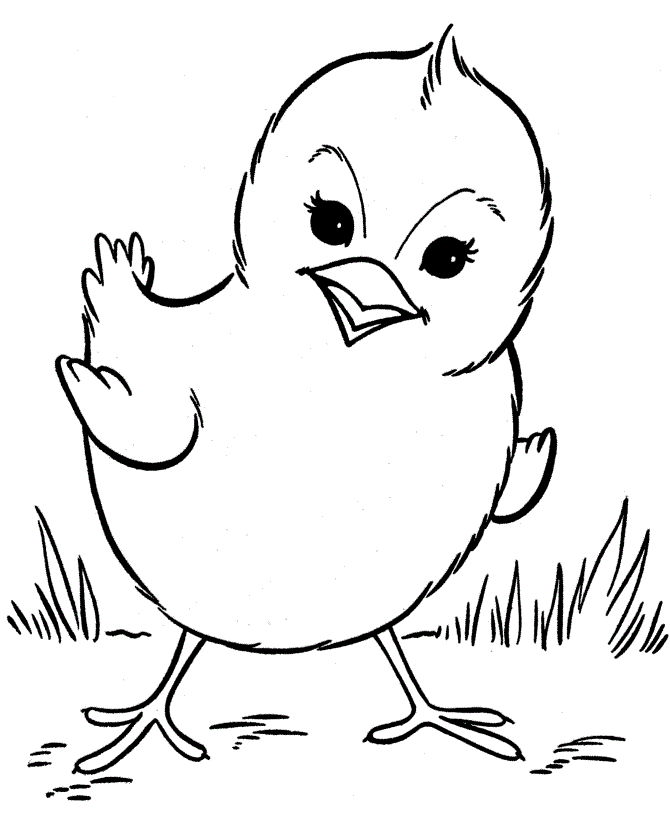 chicken coloring page