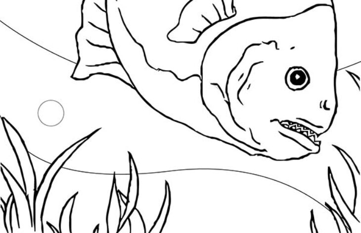 Piranha Coloring Page Piranha Coloring Page