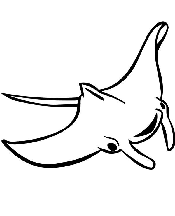 sting ray coloring page