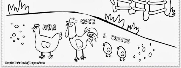 Realistic Farm Animal Coloring Pages Realistic Farm Animal Coloring Pages At Getcolorings.com