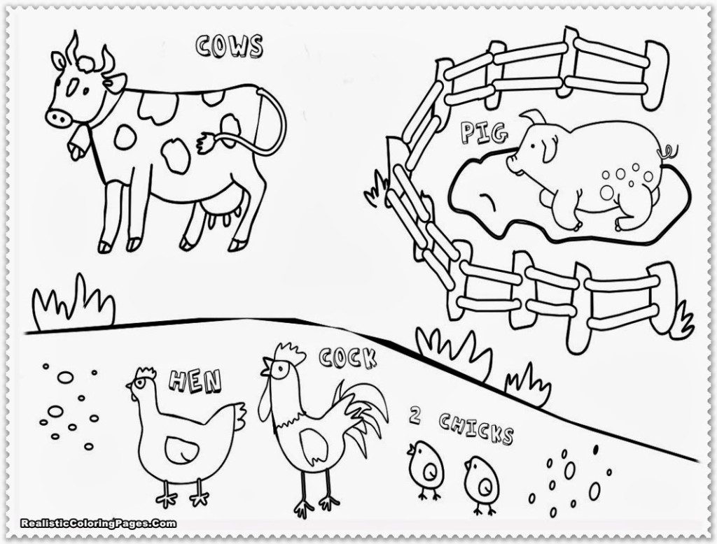 realistic farm animal coloring pages