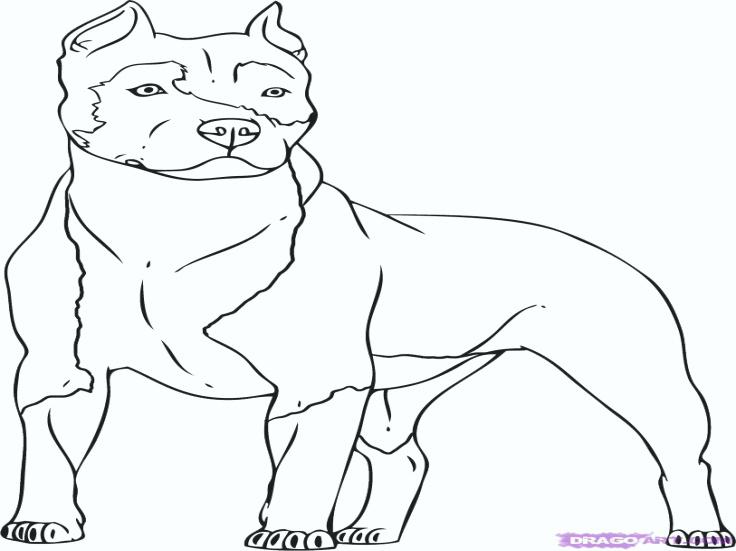 rottweiler coloring pages