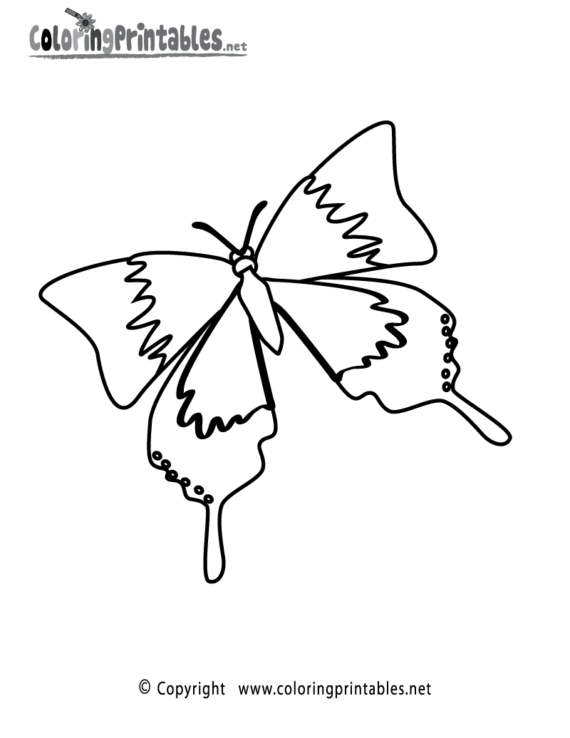 spring butterfly coloring pages