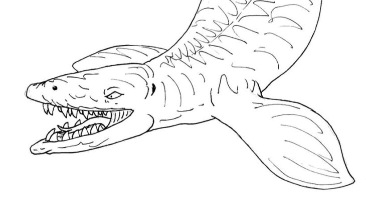 Realistic Mosasaurus Coloring Page Mosasaurus Dino Coloringhome Getdrawings Dinosaurios Popular Mosasaur