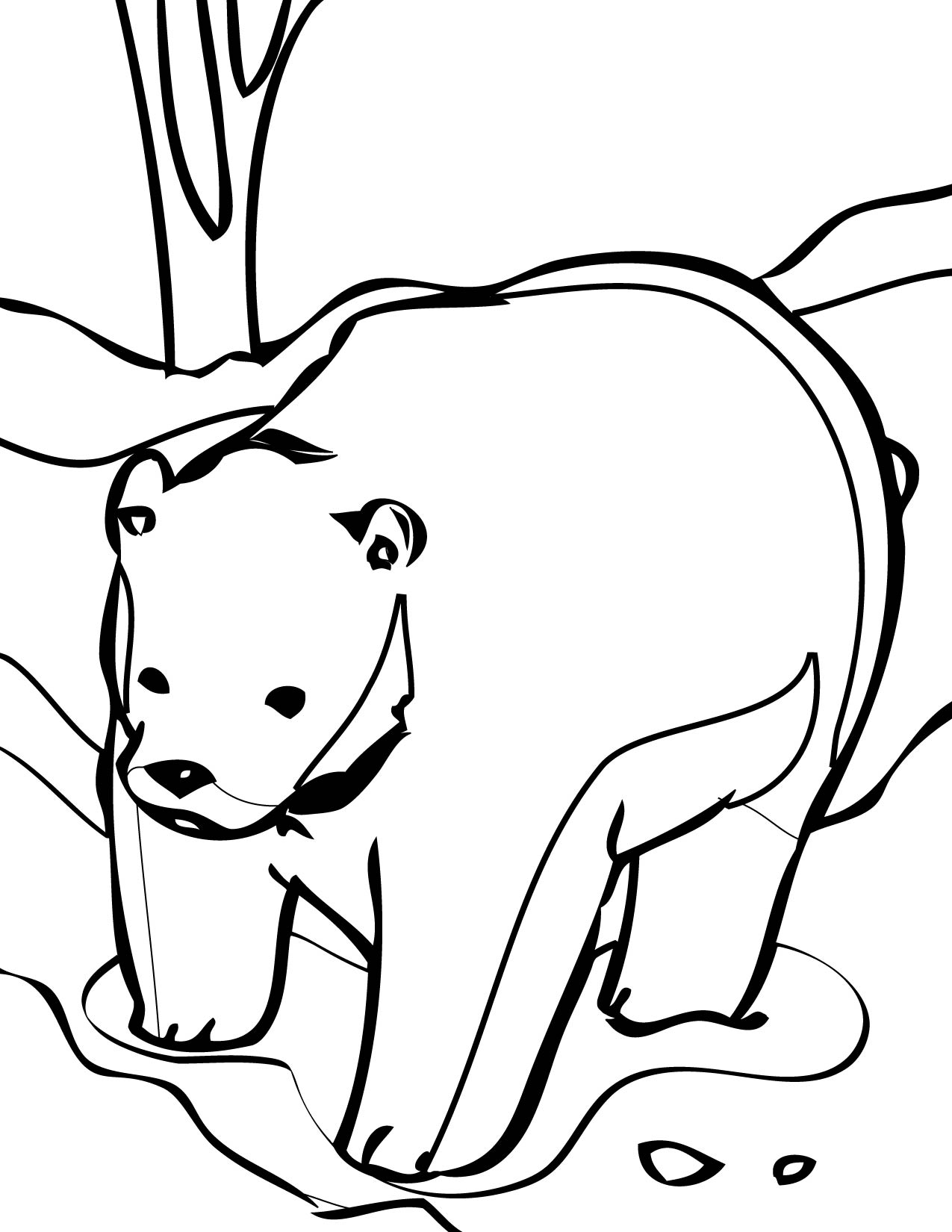 bear printable coloring pages