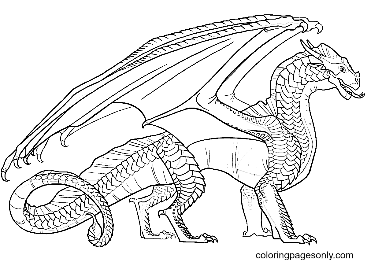 wings of fire coloring pages sandwing