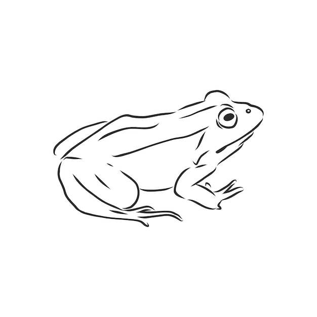 grenouille noir et blanc facil