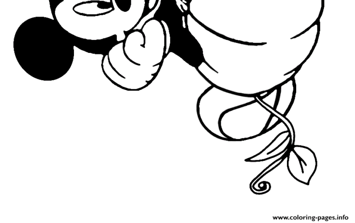 Mickey Pumpkin Coloring Page Mickey Mouse Pumpkin Template
