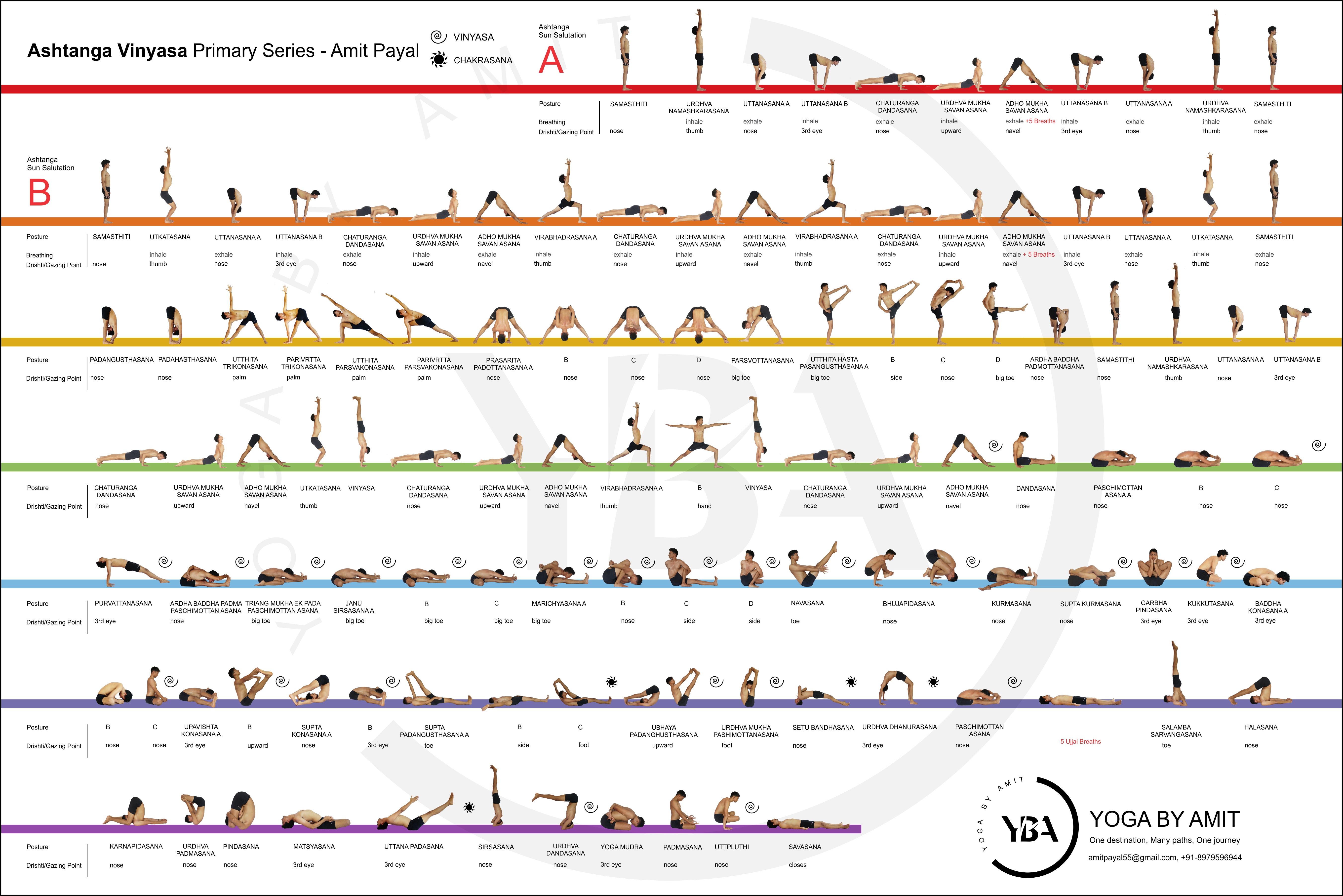 Ashtanga Vinyasa Yoga Primary Series Infographic