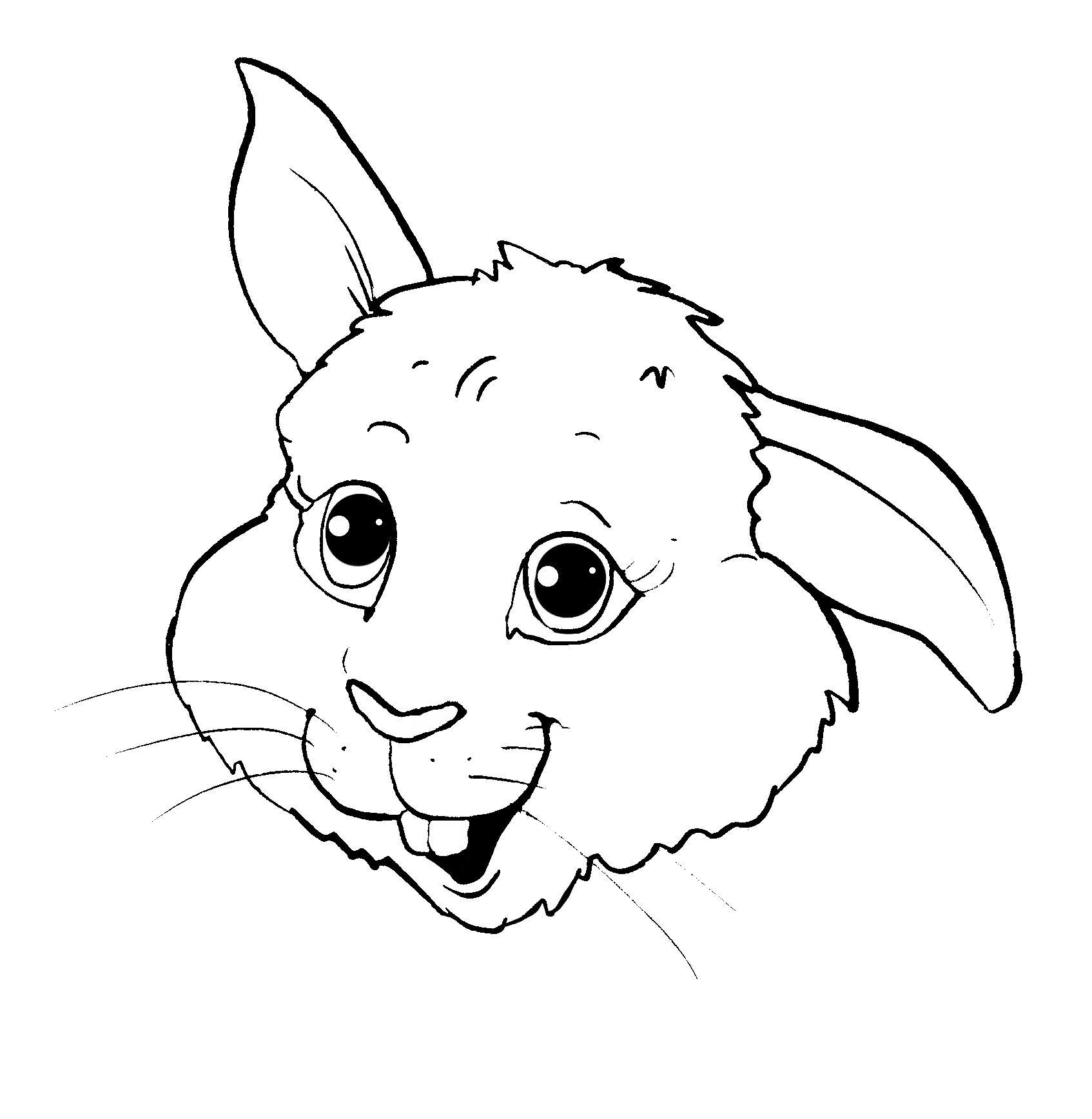 Kaninchen Pictures To Draw, Drawings, Bunnies, Sketches, Drawing