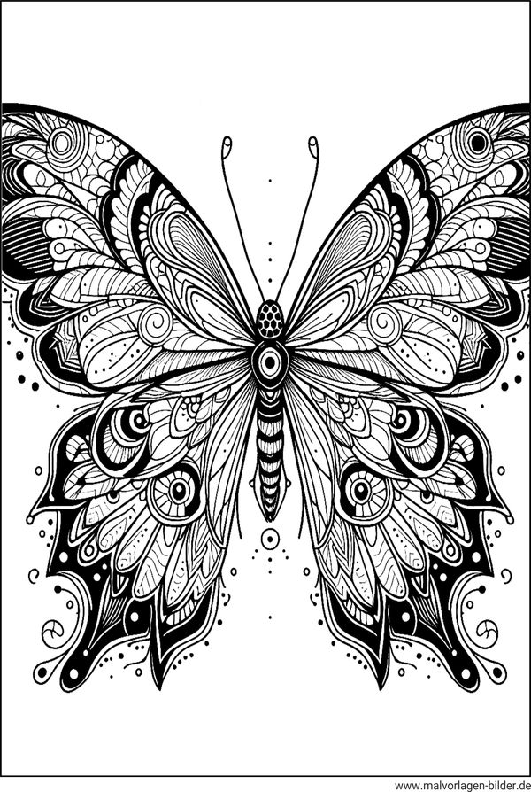 schöne ausmalbilder für erwachsene schmetterling
