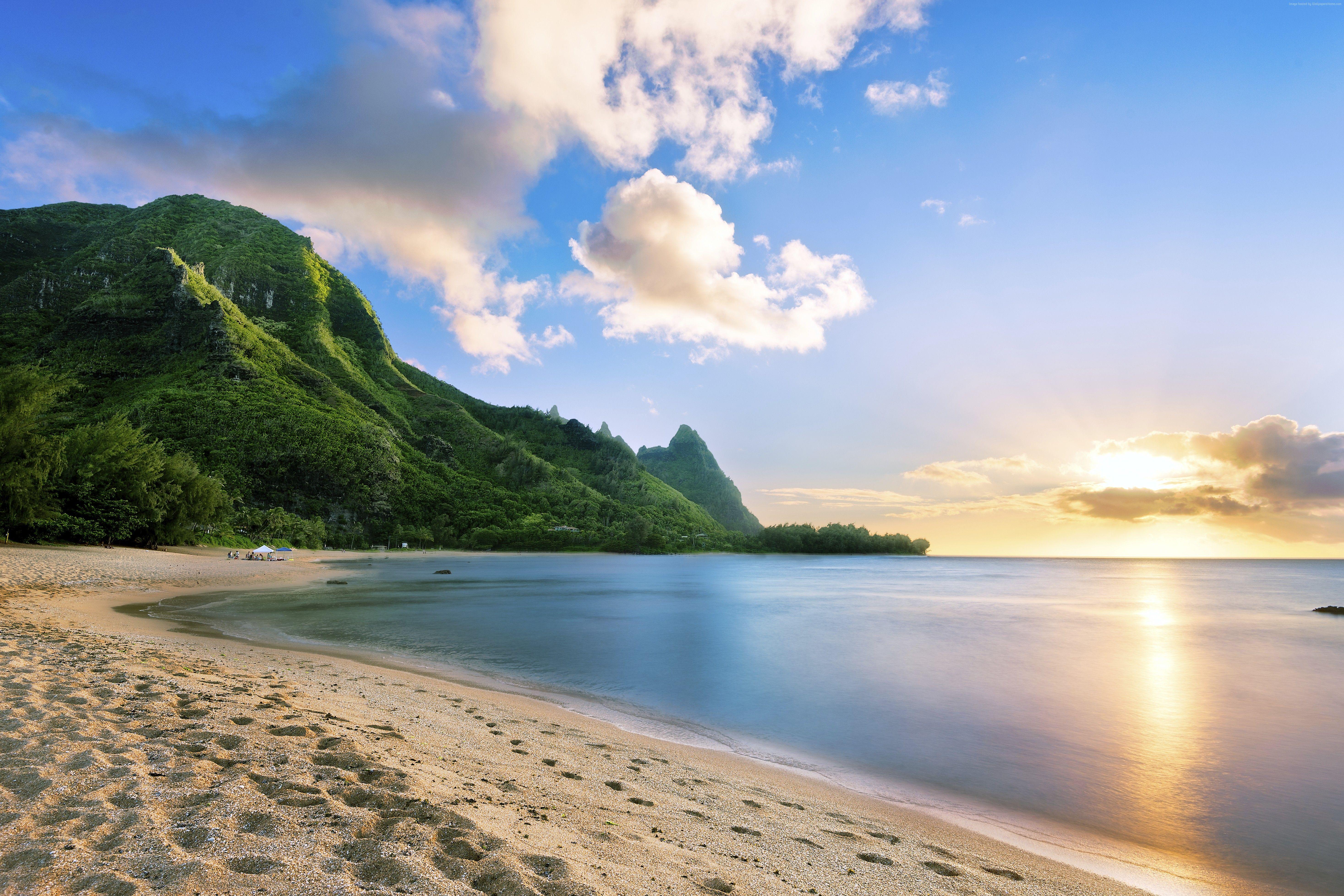  Hawaii Beach Wallpapers - Top Free Hawaii Beach Backgrounds Illustration 