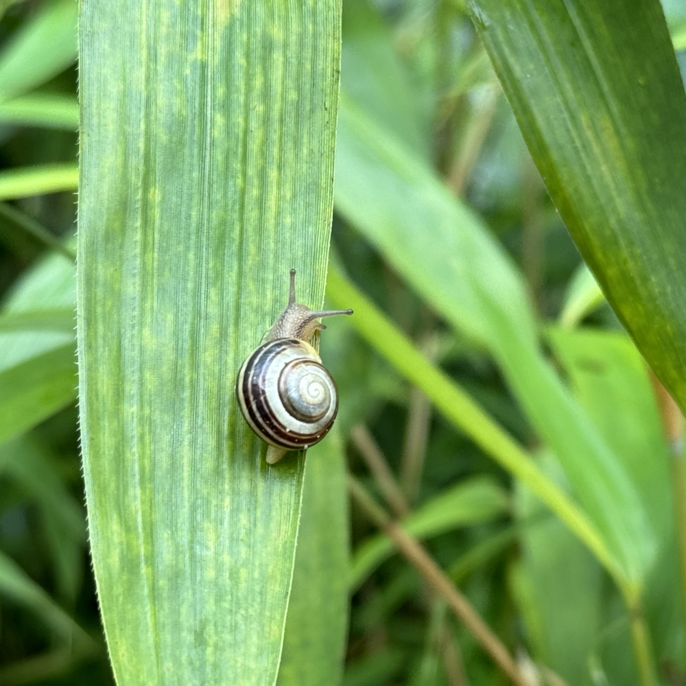  Physikum : 독일 수의대 생화학 시험은 이렇다. - 독일오리© Bildidee 