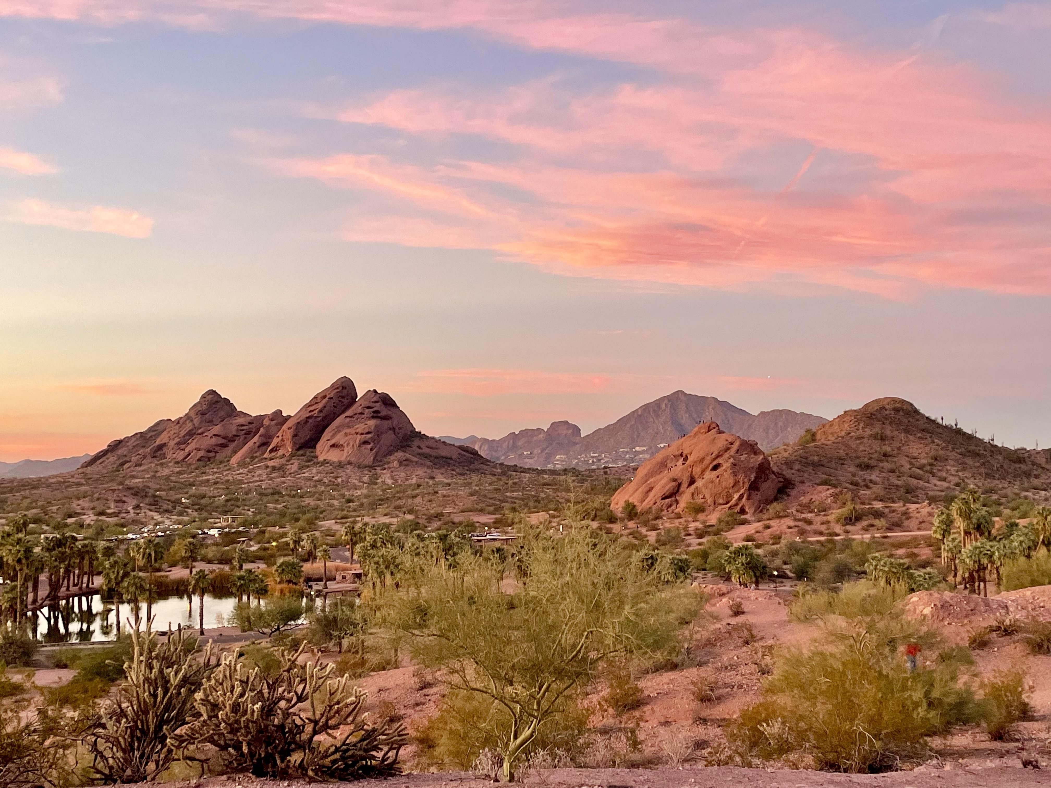  Condé Nast Illustration 