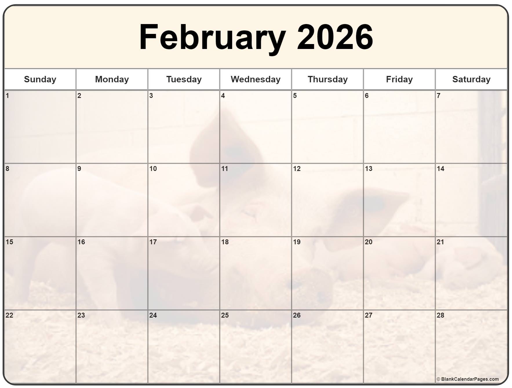  Collection of February 2026 photo calendars with image filters. 