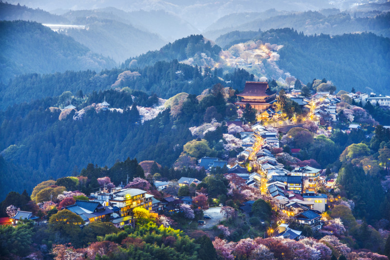  El monte que cambia de color con la floración de los cerezos en Japón Motiv 